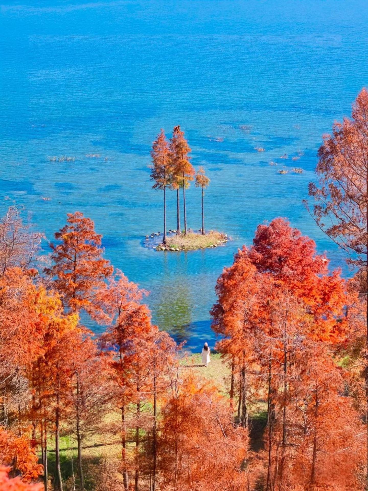 Dali Nest Secret Garden Lake View Inn Exterior foto